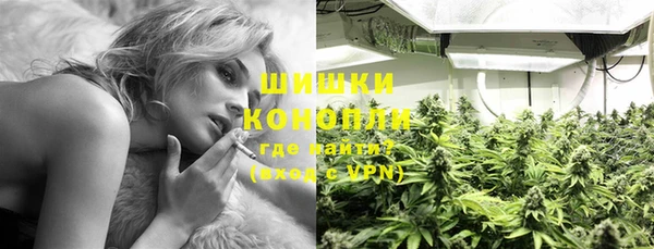 бошки Инта