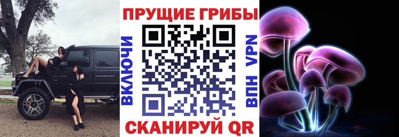 Купить закладки  Тырныауз  Псилоцибиновые грибы Psilocybe 
